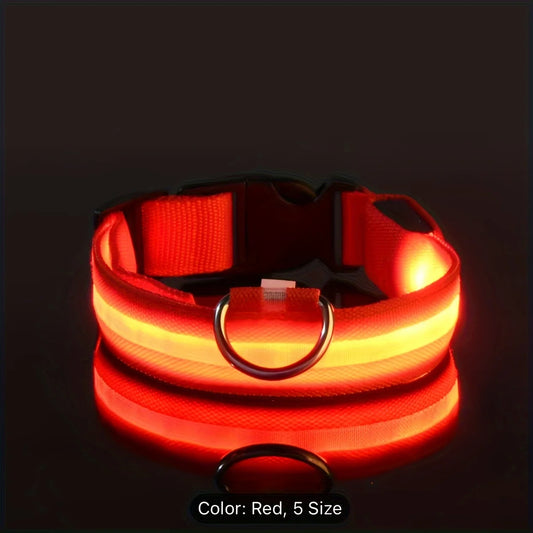 Collier Lumineux LED Rechargeable pour Chien