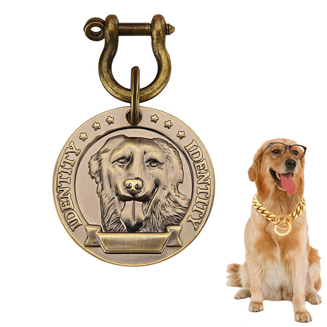 Médaille Personnalisée Gravée pour Chien Nom & Numéro de Téléphone