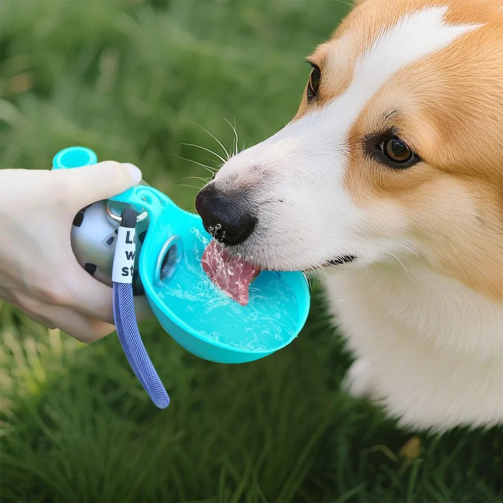 Gourde Portable avec Bol Intégré pour Chien — Hydratation Facile en Promenade