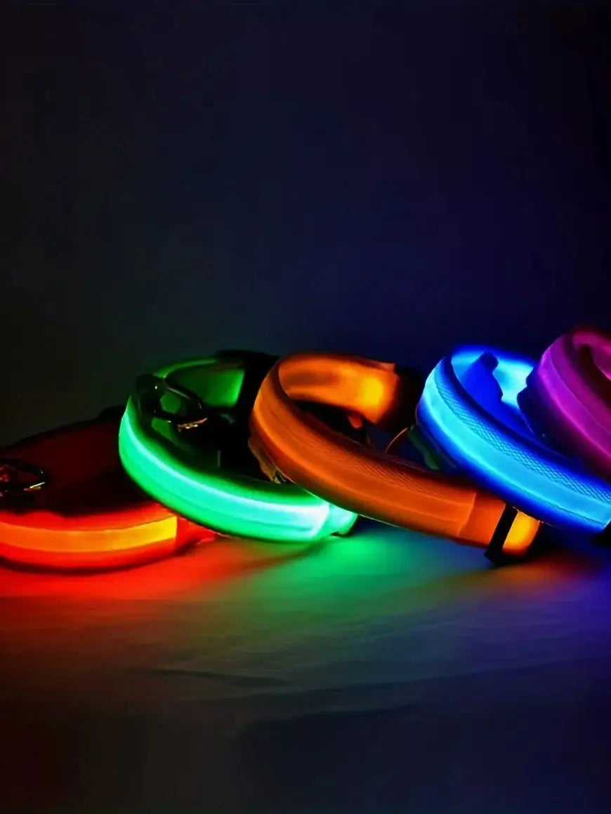 Collier Lumineux LED Rechargeable pour Chien 