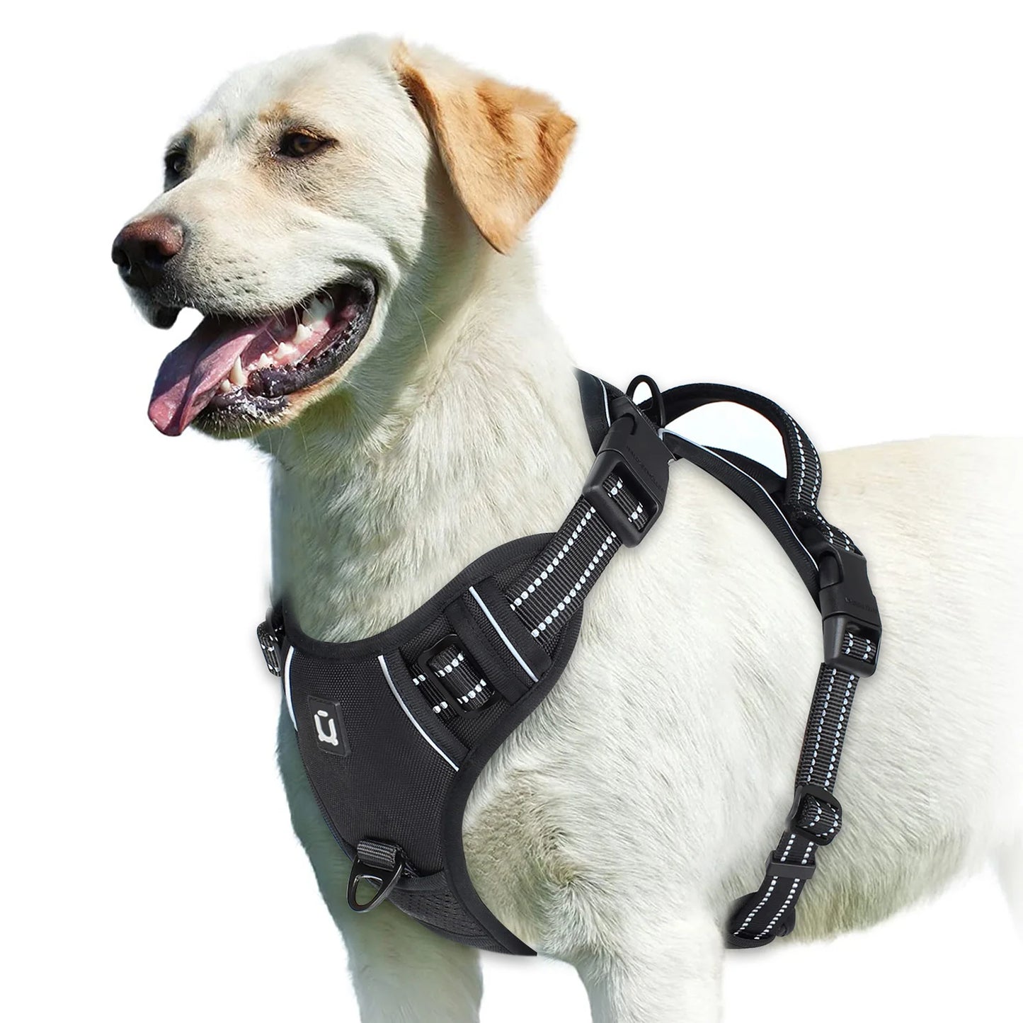 Harnais Anti-Traction Ergonomique pour Chien — Confort & Sécurité Maximale