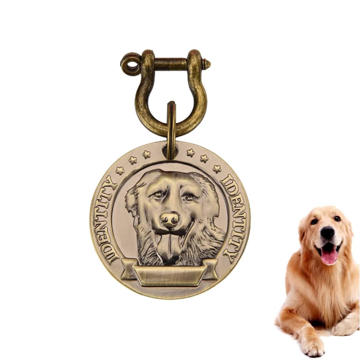 Médaille Personnalisée Gravée pour Chien Nom & Numéro de Téléphone
