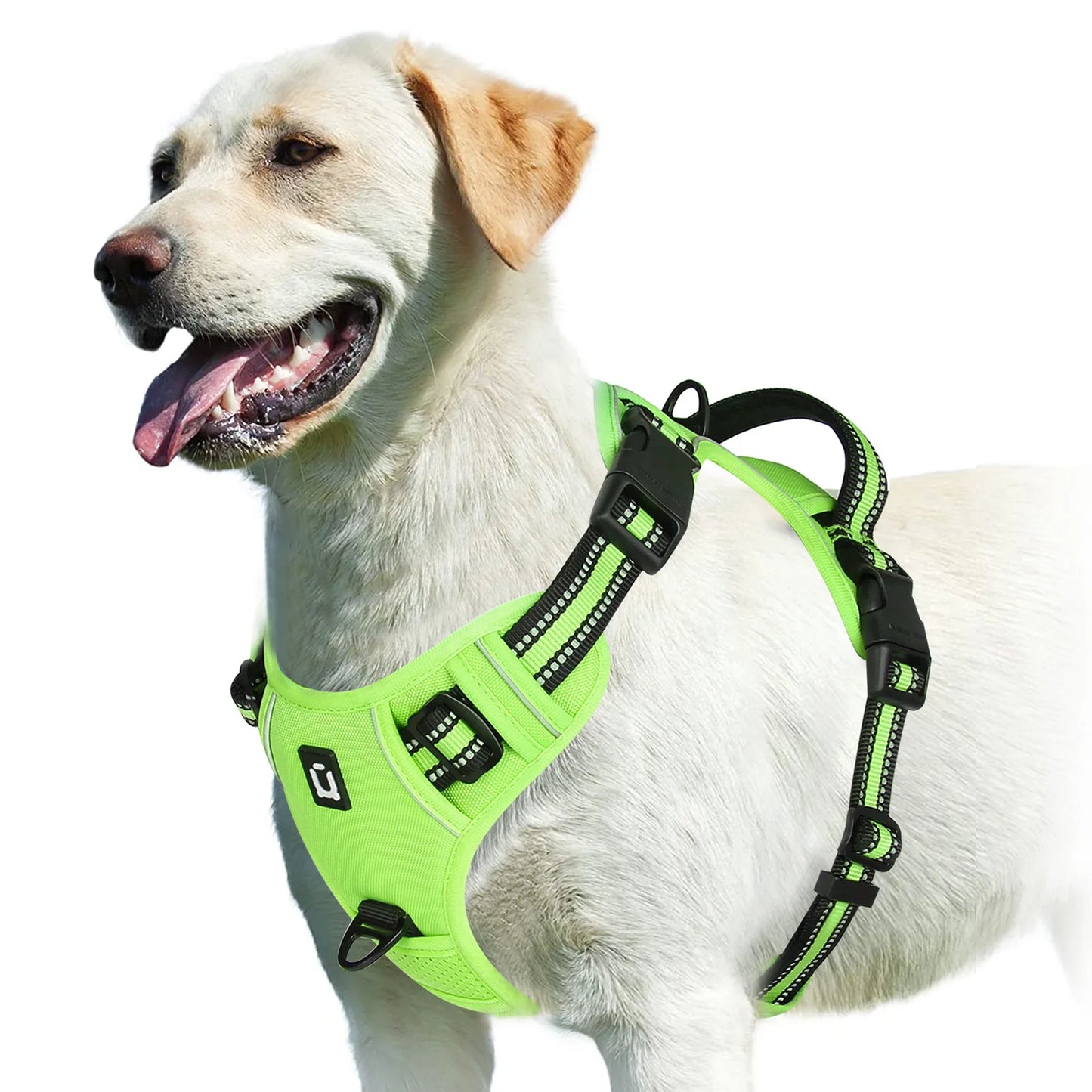 Harnais Anti-Traction Ergonomique pour Chien — Confort & Sécurité Maximale