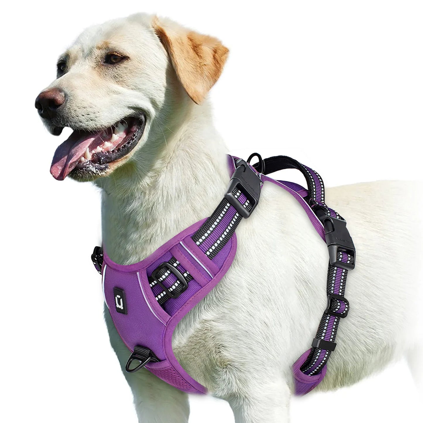 Harnais Anti-Traction Ergonomique pour Chien — Confort & Sécurité Maximale