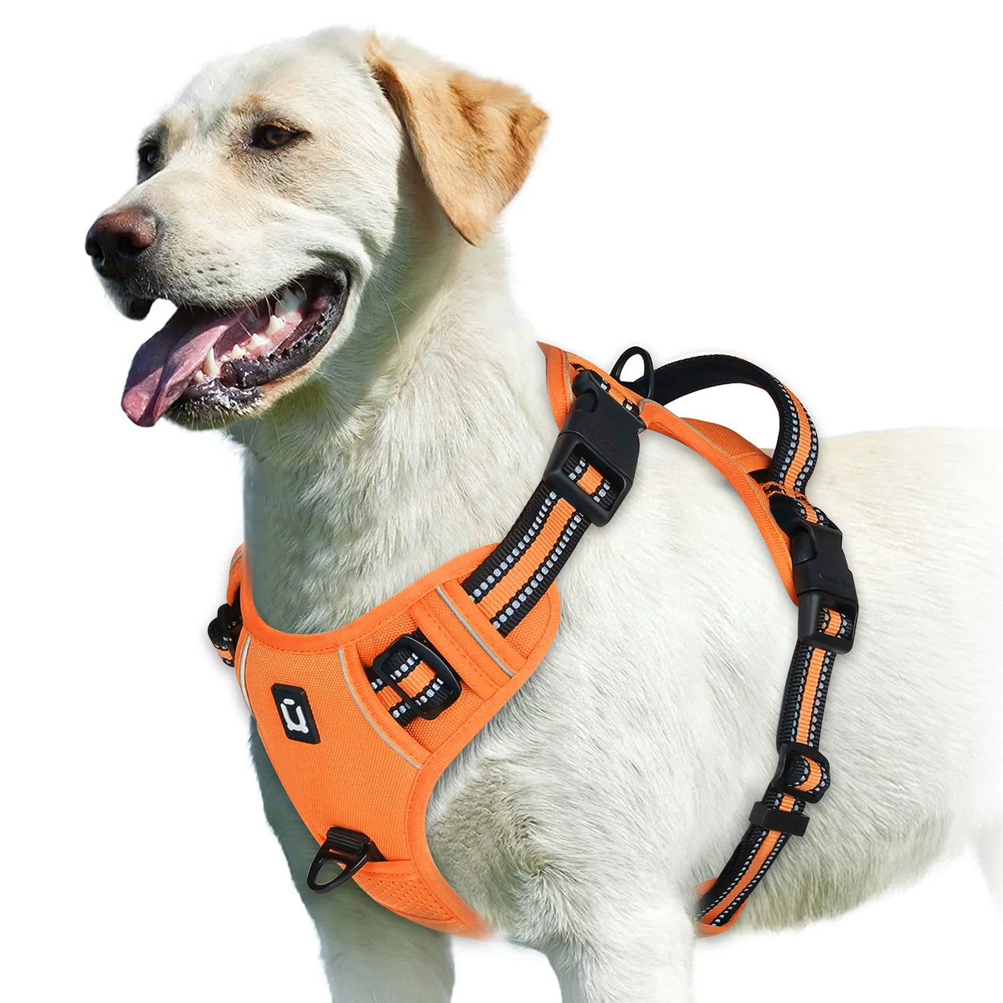 Harnais Anti-Traction Ergonomique pour Chien — Confort & Sécurité Maximale