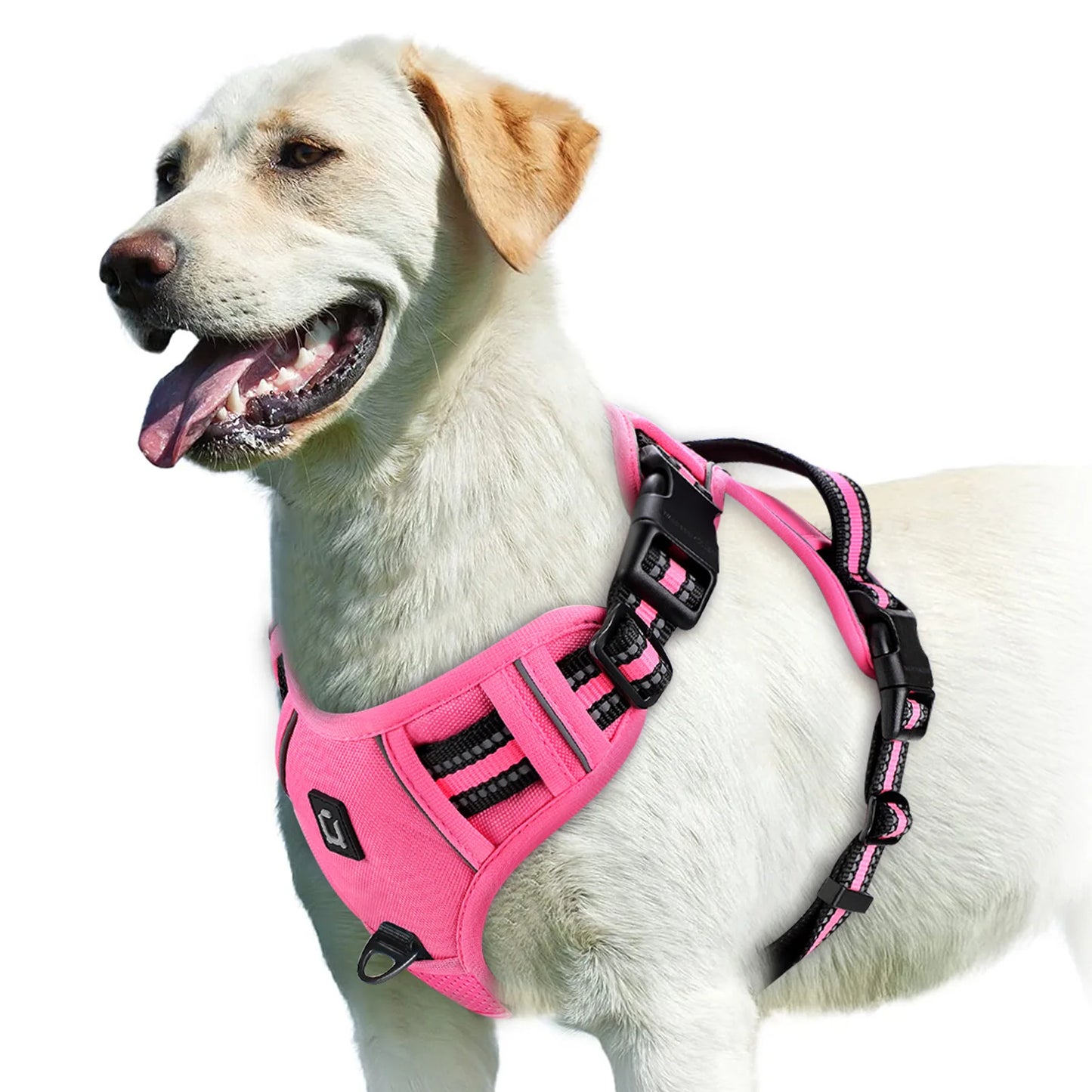 Harnais Anti-Traction Ergonomique pour Chien — Confort & Sécurité Maximale