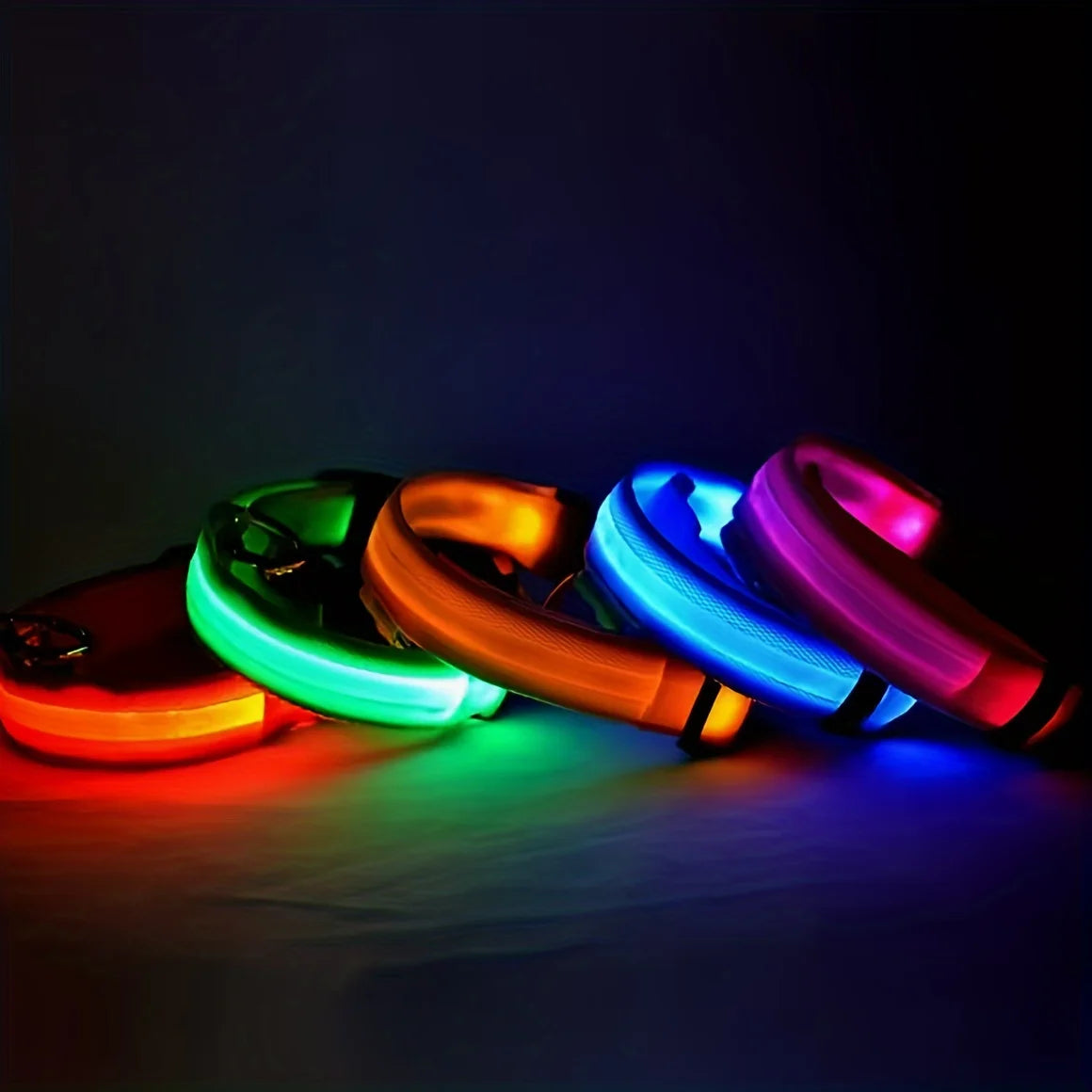 Collier Lumineux LED Rechargeable pour Chien 