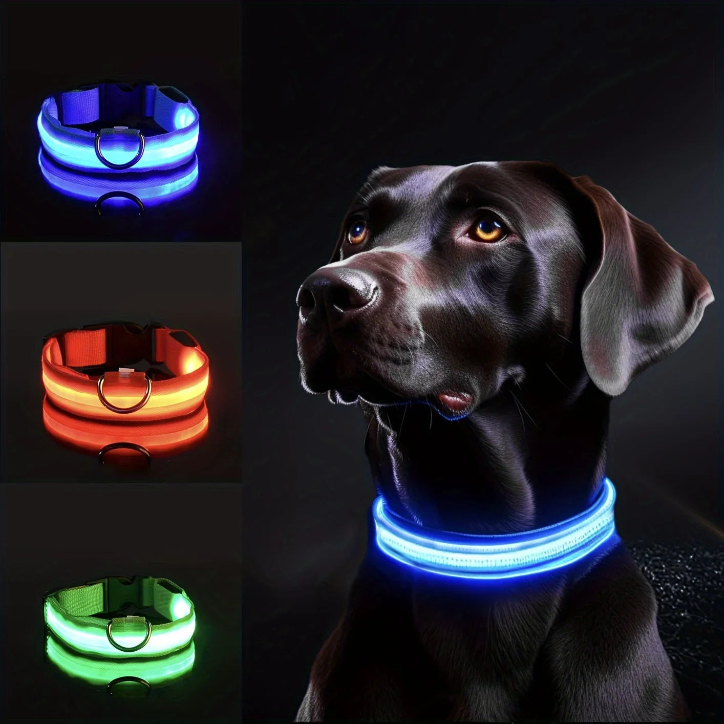 Collier Lumineux LED Rechargeable pour Chien — Visible à 500m la Nuit
