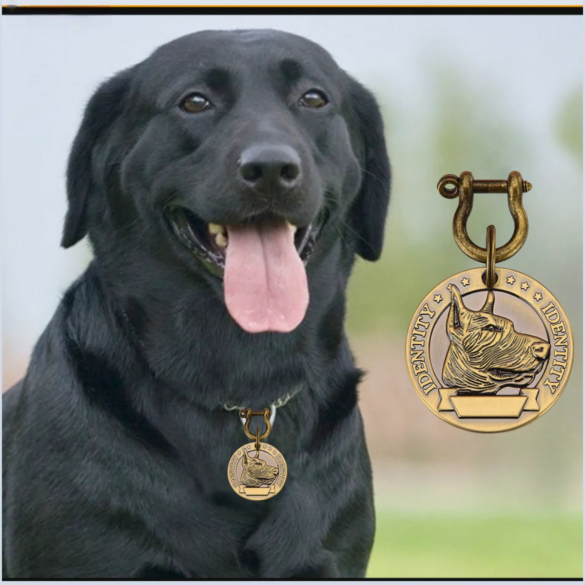Médaille Personnalisée Gravée pour Chien Nom & Numéro de Téléphone