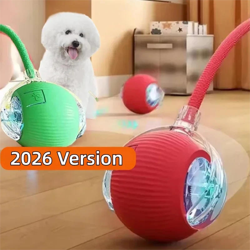 Balle interactive distributrice de friandises pour chien PawNova