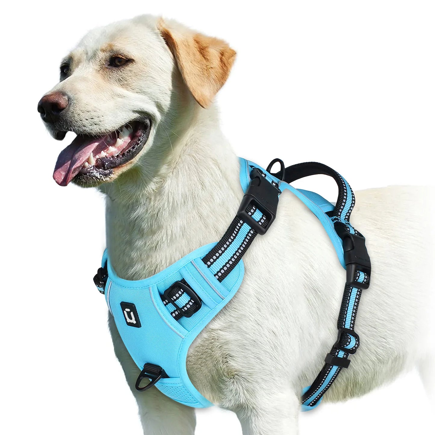Harnais Anti-Traction Ergonomique pour Chien — Confort & Sécurité Maximale