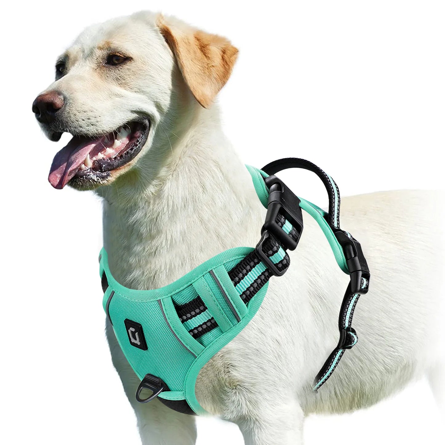 Harnais Anti-Traction Ergonomique pour Chien — Confort & Sécurité Maximale